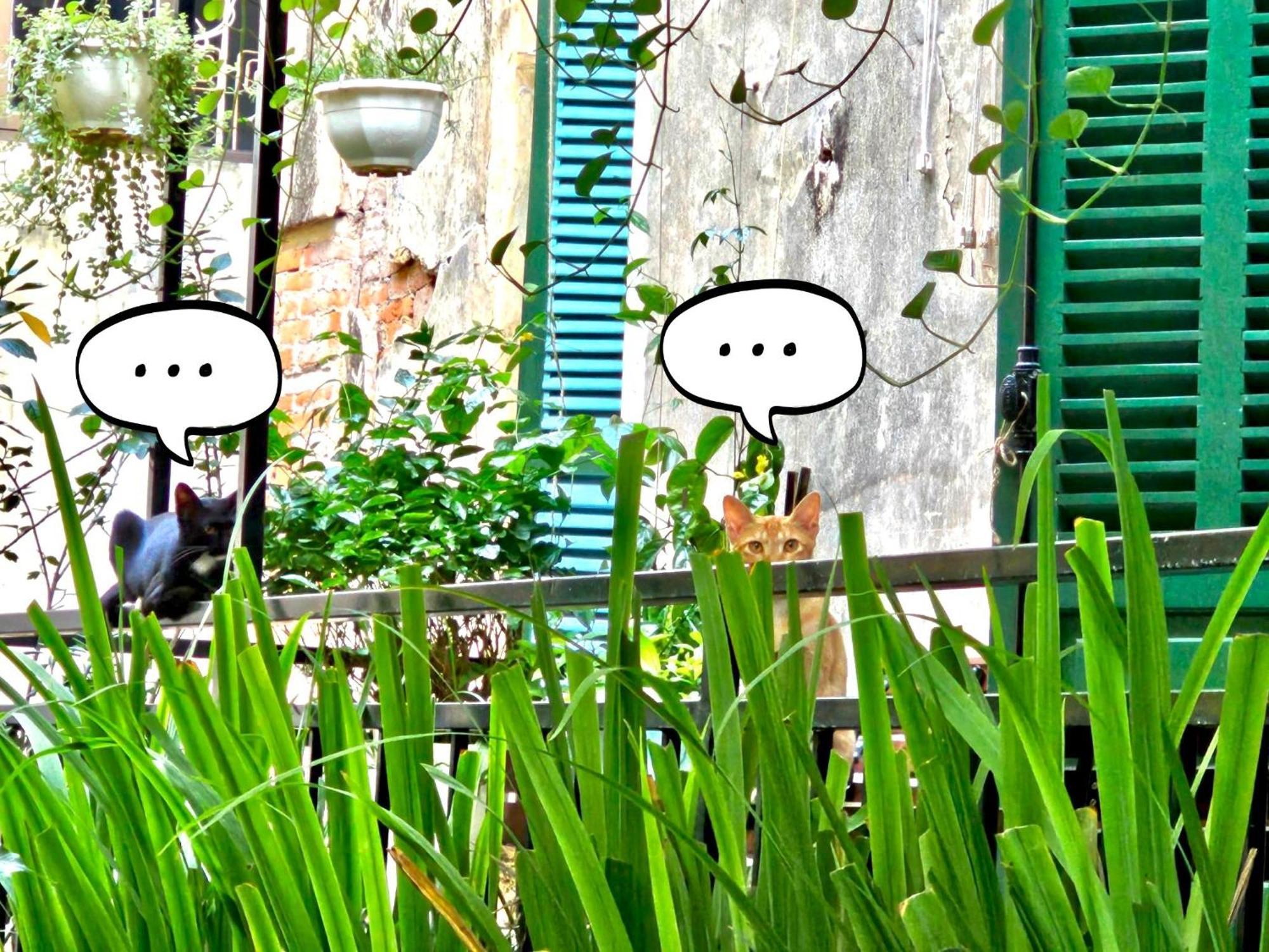 Azalea Apartment Hanoi Zewnętrze zdjęcie