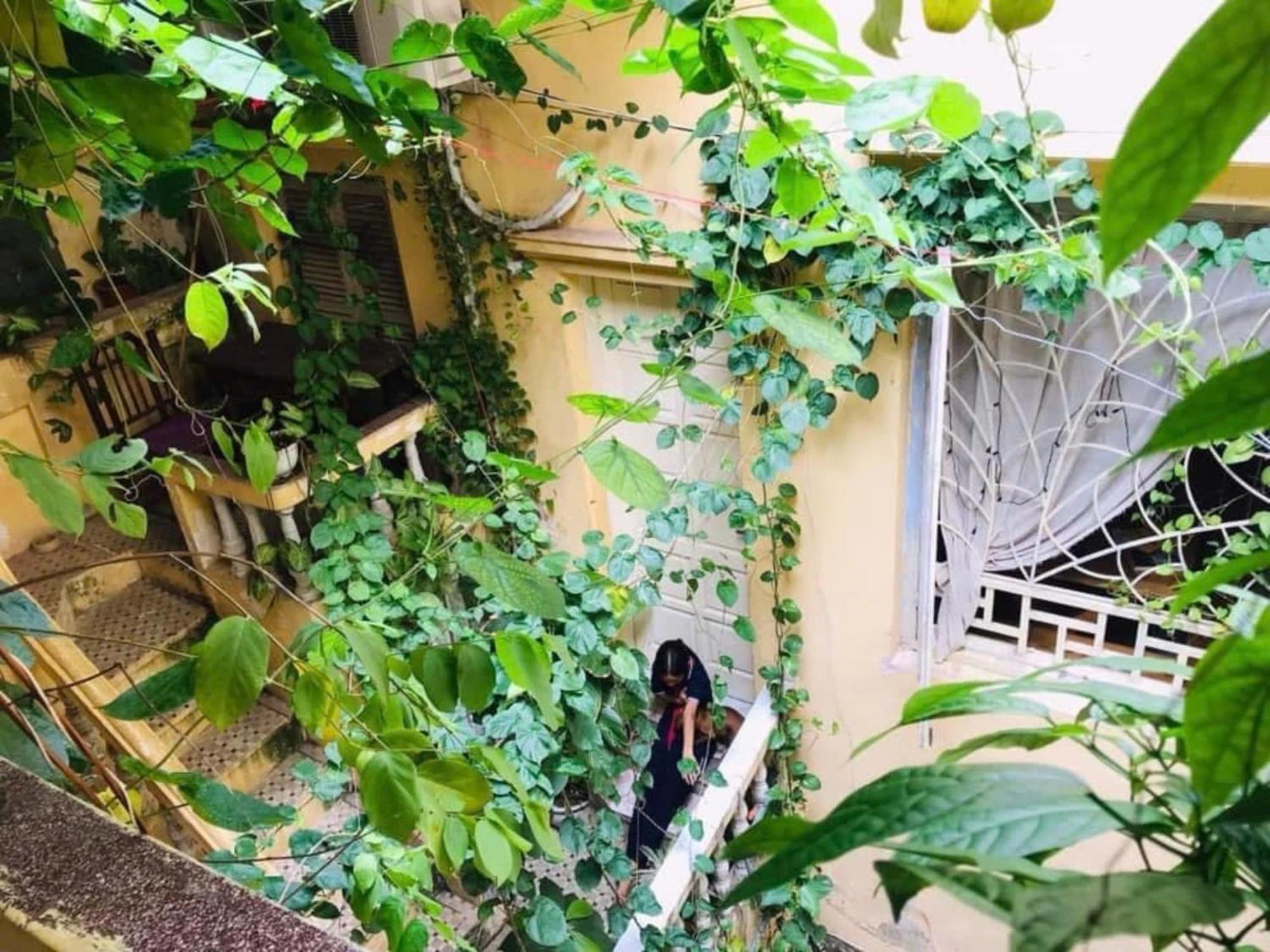 Azalea Apartment Hanoi Zewnętrze zdjęcie