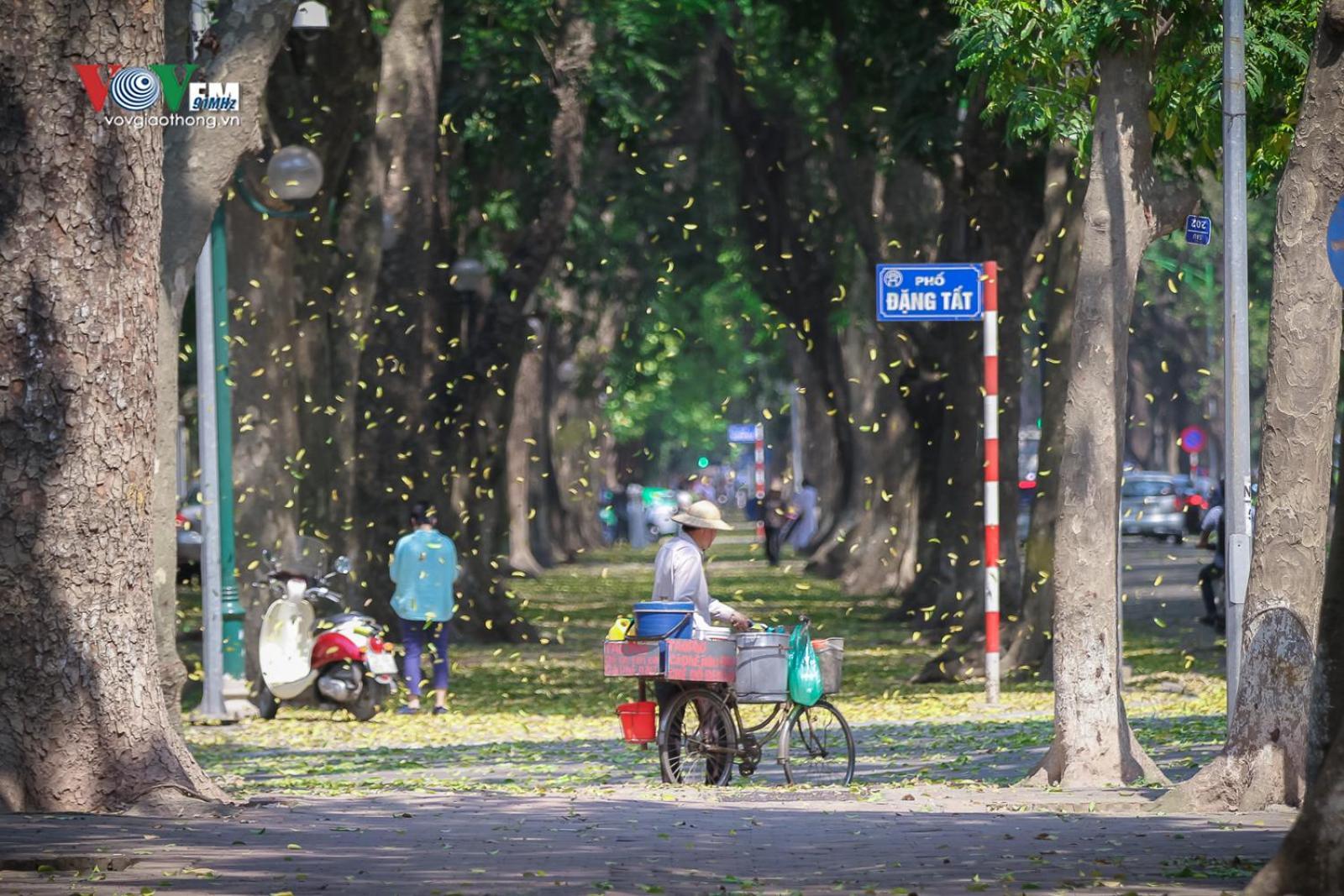 Azalea Apartment Hanoi Zewnętrze zdjęcie